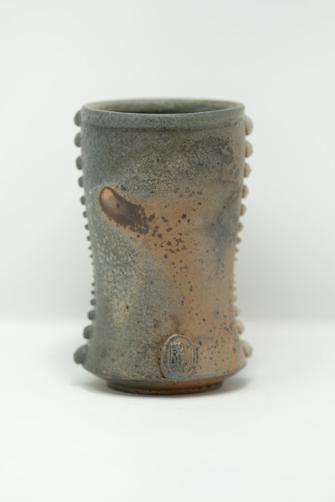Shoemaker Levy-9 Tumbler